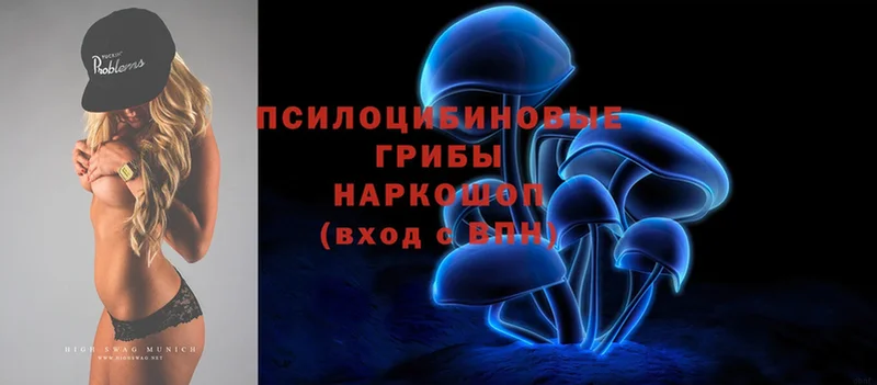 Псилоцибиновые грибы MAGIC MUSHROOMS  Краснозаводск 